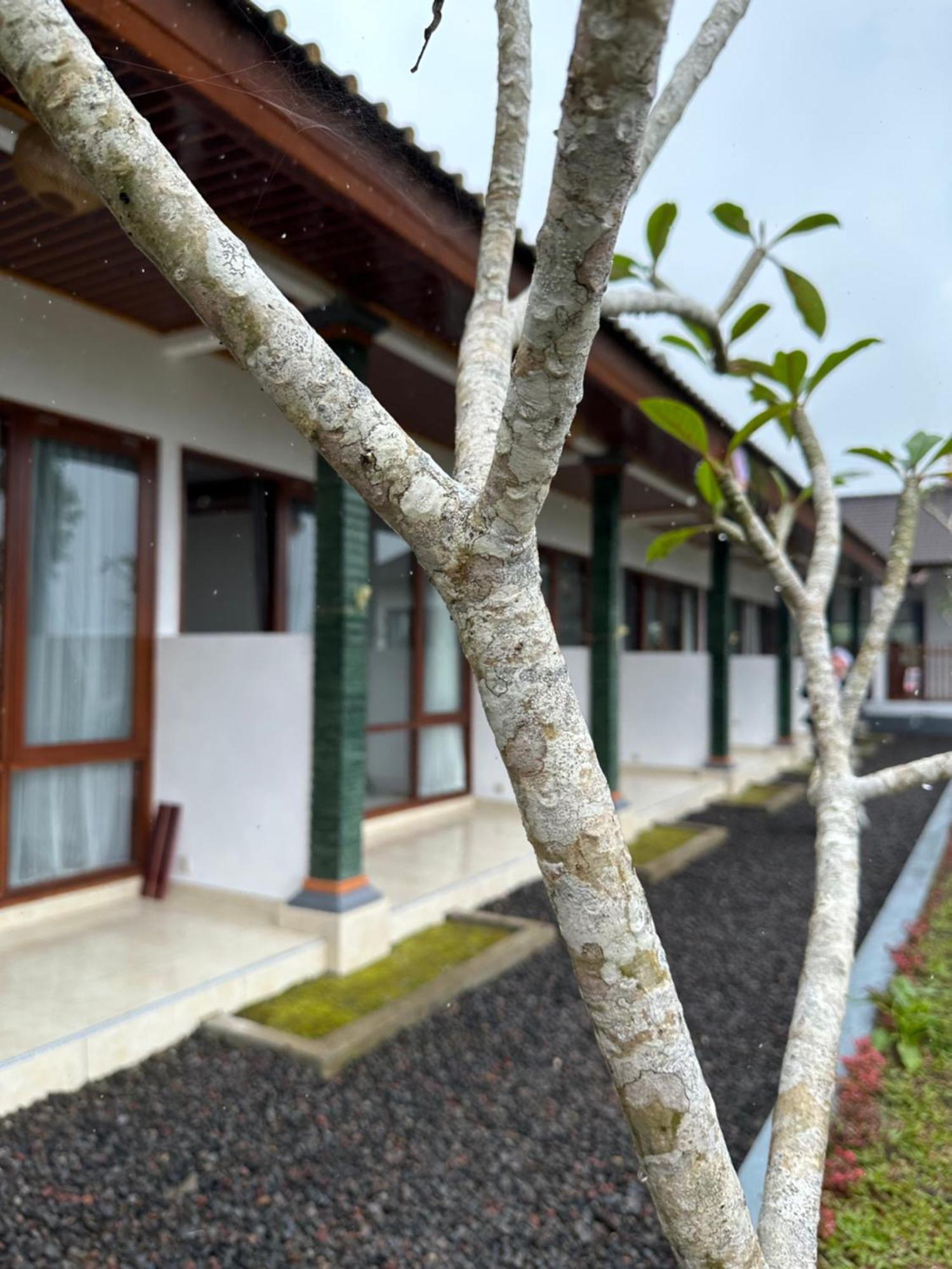 Апартаменты Bali Basuki Retreat Center Besakih Экстерьер фото